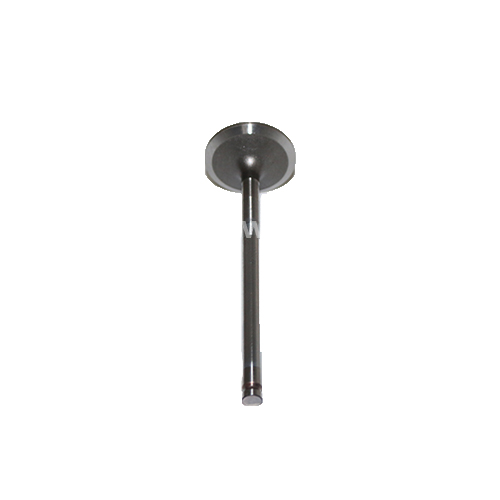 Valve;Intake, Cam Shaft, Engine